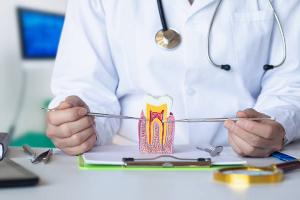 Best Urgent Care for Lost Fillings or Crowns in Parkville, MD